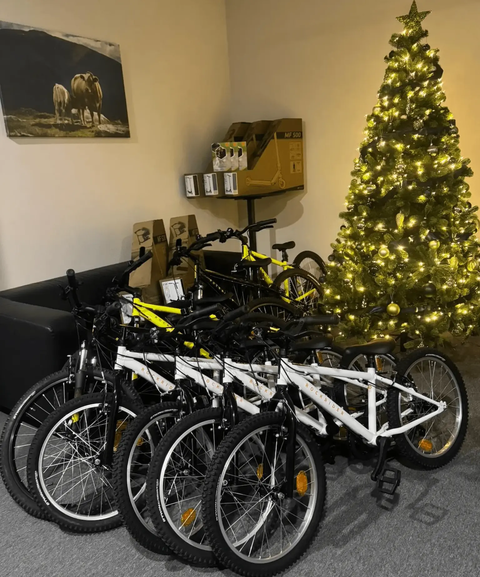 "Laimas Labdarības namiņš" 